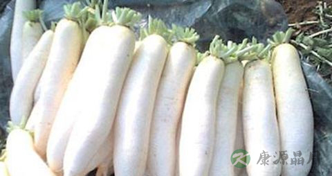 白萝卜和什么煲汤好 白萝卜和什么煲汤好