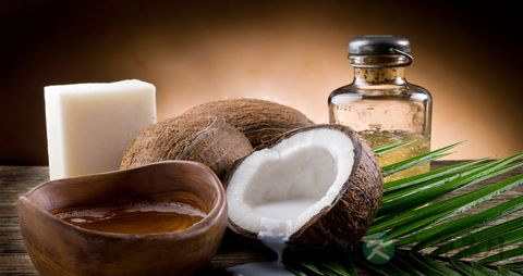 椰子油和橄榄油哪个好