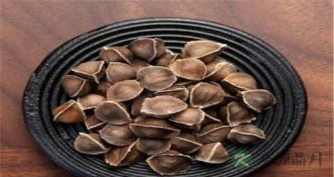 辣木籽的吃法_哪些人不能吃辣木籽