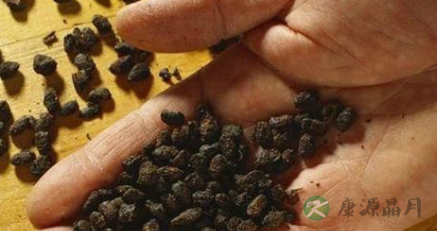 豆豉的吃法_哪些人不能吃豆豉