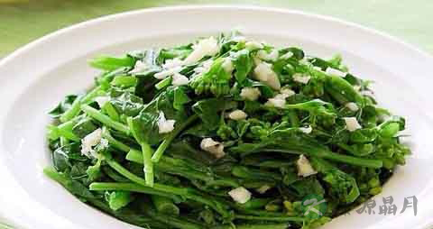 油菜心的吃法_哪些人不能吃油菜心 油菜心的吃法_哪些人不能吃油菜心