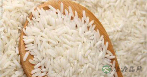 早籼的营养价值_吃早籼的好处 早籼的营养价值_吃早籼的好处