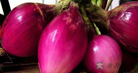 意大利红洋葱的吃法_哪些人不能吃意大利红洋葱 意大利红洋葱的吃法_哪些人不能吃意大利红洋葱