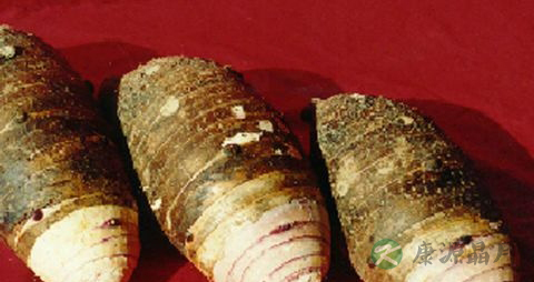 香芋的营养价值_吃香芋的好处