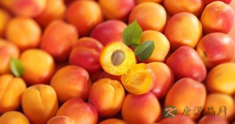 黄梅是什么季节的 黄梅是什么季节的