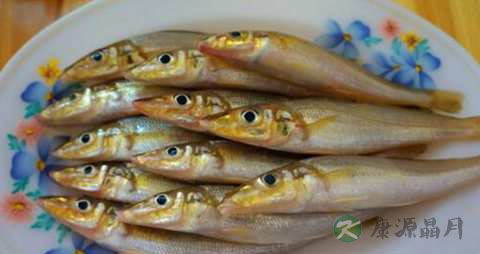 沙钻鱼的吃法_哪些人不能吃沙钻鱼 沙钻鱼的吃法_哪些人不能吃沙钻鱼