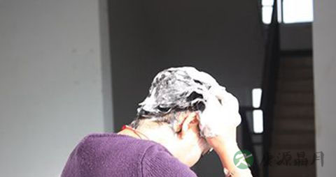 用啤酒洗头发有什么效果