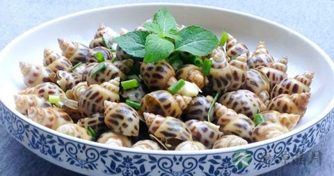 花螺的吃法_哪些人不能吃花螺