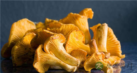 鸡油菌的营养价值_吃鸡油菌的好处