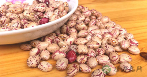 花豆的吃法_哪些人不能吃花豆