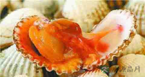 蛤的营养价值_吃蛤的好处 蛤的营养价值_吃蛤的好处