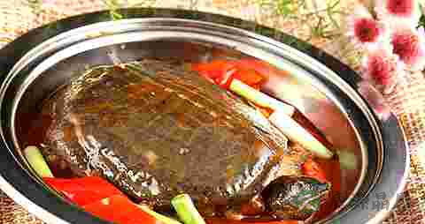 结籽的马齿苋能吃吗 结籽的马齿苋能吃吗