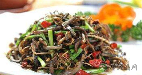 马齿苋的功效与作用及禁忌 马齿苋的功效与作用及禁忌