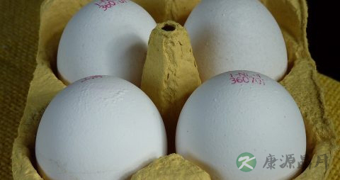 鸭蛋和什么一起炒 鸭蛋和什么一起炒