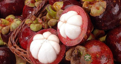 山竹的吃法_哪些人不能吃山竹