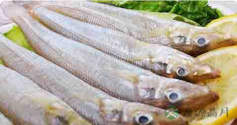 沙尖鱼的营养价值_吃沙尖鱼的好处