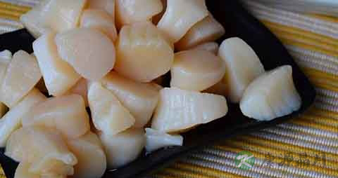 鲜贝的吃法_哪些人不能吃鲜贝