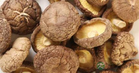 怎么快速泡发香菇