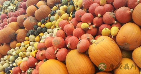 老南瓜和嫩南瓜怎么区分