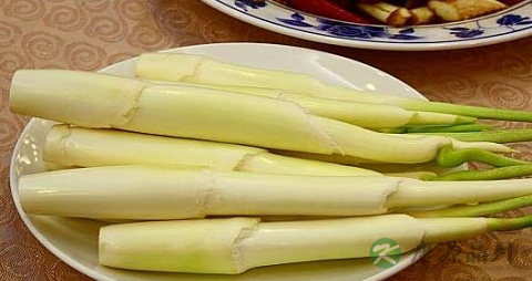 茭笋的吃法_哪些人不能吃茭笋 茭笋的吃法_哪些人不能吃茭笋