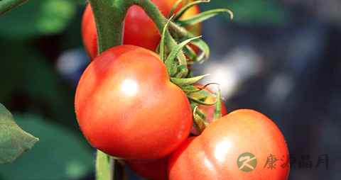 西红柿怎么吃祛痘