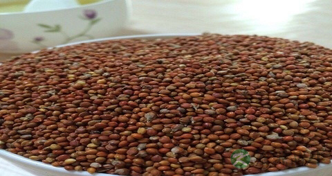 红小米的吃法_哪些人不能吃红小米