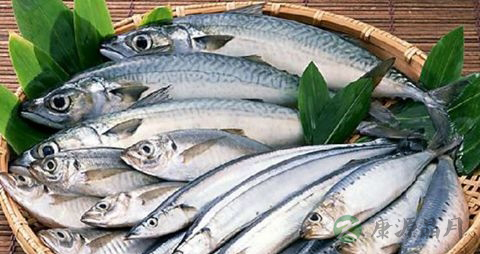 带鱼怎么做不粘锅 带鱼怎么做不粘锅