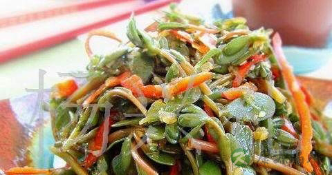 晒干的马齿苋怎么吃 晒干的马齿苋怎么吃