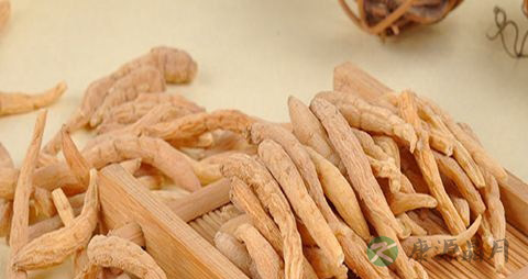 太子参的营养价值_吃太子参的好处