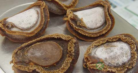 双头鲍鱼的吃法_哪些人不能吃双头鲍鱼