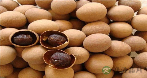 桂圆的营养价值_吃桂圆的好处
