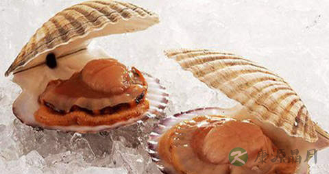 蝴蝶贝的营养价值_吃蝴蝶贝的好处