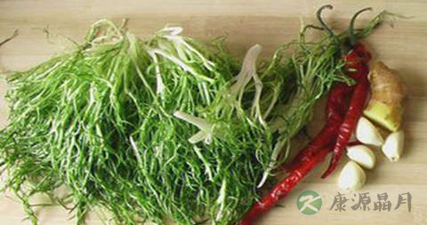 苦苣芽的营养价值_吃苦苣芽的好处