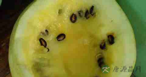 籽瓜的营养价值_吃籽瓜的好处