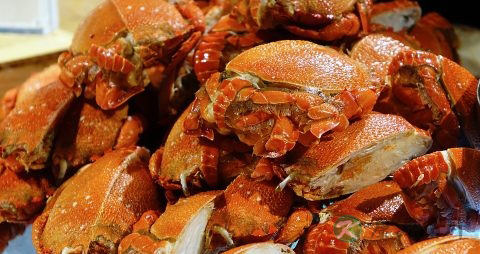 蒸螃蟹的做法步骤