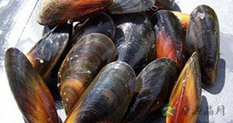 蚬子肉的吃法_哪些人不能吃蚬子肉