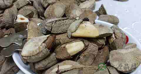 巴西坚果的营养价值_吃巴西坚果的好处