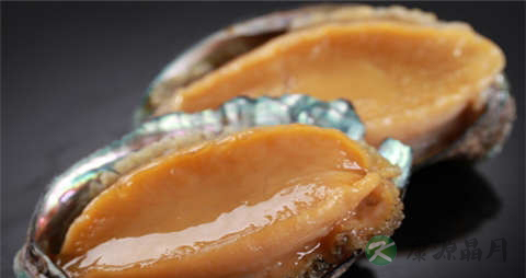 鲍鱼怎么做适合儿童吃