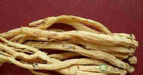 党参的营养价值_吃党参的好处