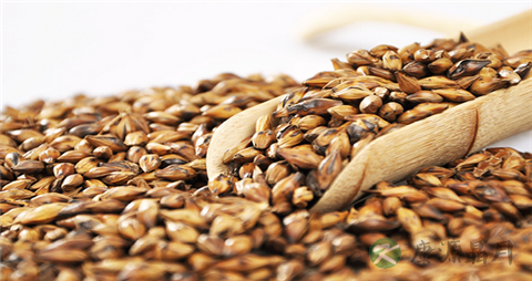 大麦茶隔夜能喝吗