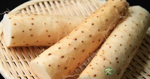 山药怎么吃好 山药怎么吃好