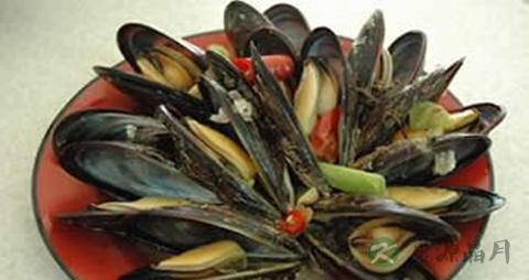 壳菜的营养价值_吃壳菜的好处