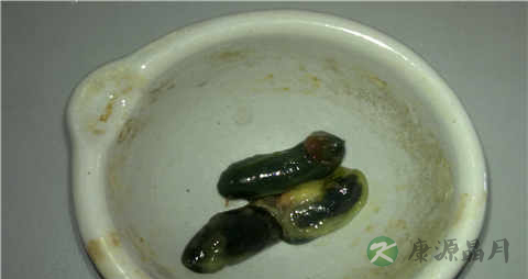 鸡胆的吃法_哪些人不能吃鸡胆