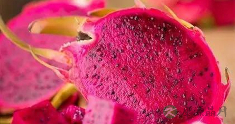 火龙果皮能吃吗