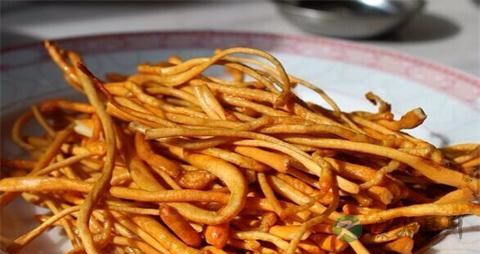 虫草菇与什么相克