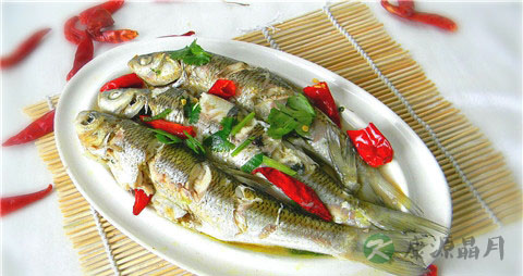 华子鱼的吃法_哪些人不能吃华子鱼