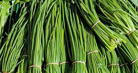 青韭的营养价值_吃青韭的好处