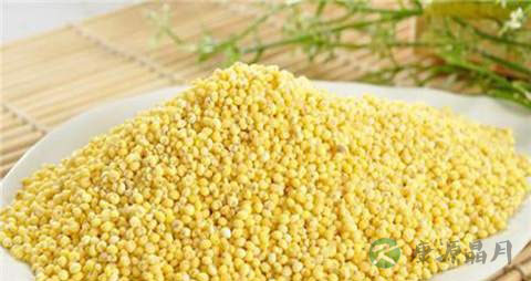 大黄米的营养价值_吃大黄米的好处 大黄米的营养价值_吃大黄米的好处