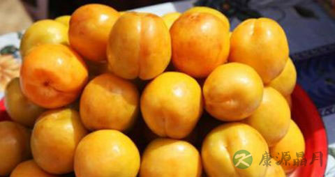 黄梅是什么季节的 黄梅是什么季节的