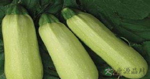 笋瓜的营养价值_吃笋瓜的好处